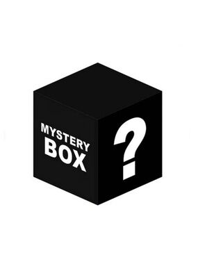 Mystery box 10 items ALL TORRID see description for sizes